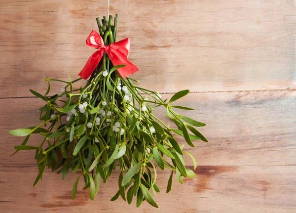 Broom from green mistletoe — Stock Photo, Image