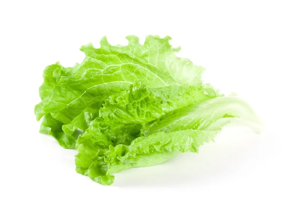 Grüner Blattsalat isoliert — Stockfoto