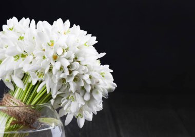 Ahşap masa üzerine vazo içinde taze kardelen