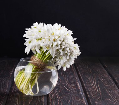 Ahşap masa üzerine vazo içinde taze kardelen