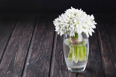 Ahşap masa üzerine vazo içinde taze kardelen