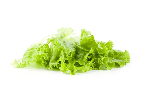Reife Salatblätter — Stockfoto