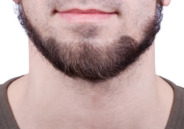 Close-up of young bearded man standing against white background — Stock Photo, Image