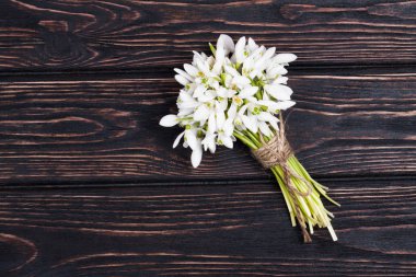 Ahşap masa içinde taze kardelen. 