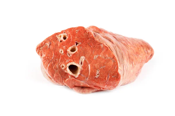 Сырые легкие свинины — стоковое фото