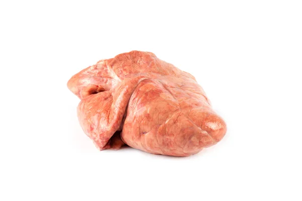 Rauw varkensvlees longen — Stockfoto