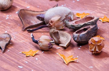 Kuru Dekor elemanları