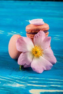 Ahşap masa üzerinde çok renkli acıbadem kurabiyesi. 