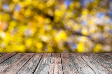 Abstract blur background. 