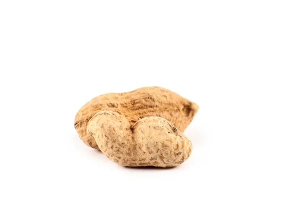 Жареный арахис в скорлупе — стоковое фото