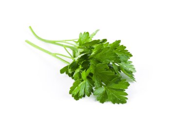 Taze yeşil maydanoz beyaz arkaplanda izole
