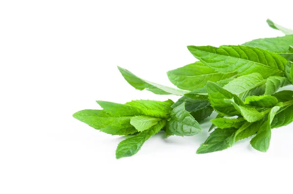 Menta fresca su sfondo bianco — Foto Stock