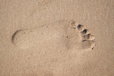 Kumda ayak izleri