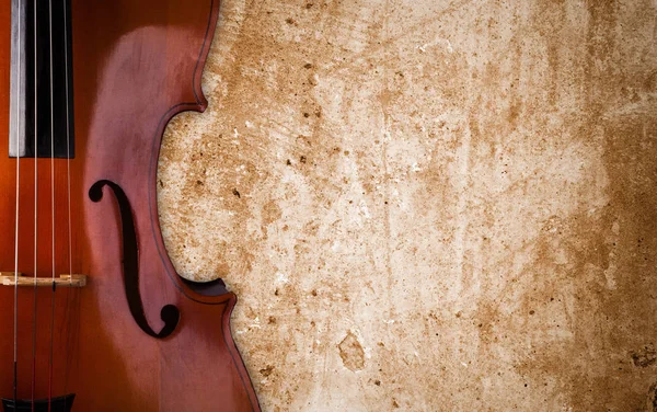 Violoncello da vicino — Foto Stock