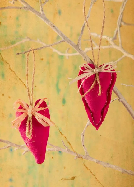 Heart from clothing on wood branch — Stock Photo, Image