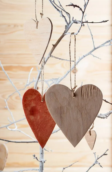 Heart from clothing on wood branch — Stock Photo, Image