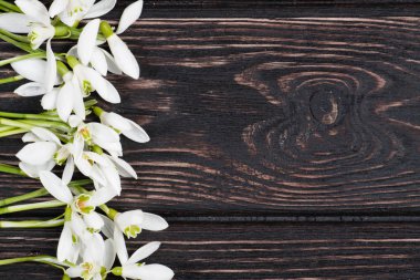 Kardelen ahşap masanın üzerinde kapat. 