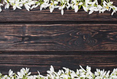 Kardelen ahşap masanın üzerinde kapat. 