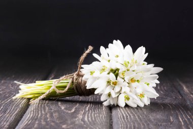 Kardelen ahşap masanın üzerinde kapat. 
