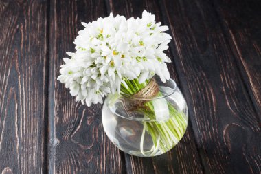 Kardelen ahşap masanın üzerinde kapat. 