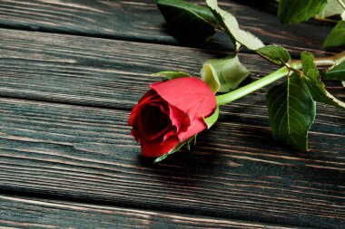 Ahşap masa üzerinde renkli taze gül. 