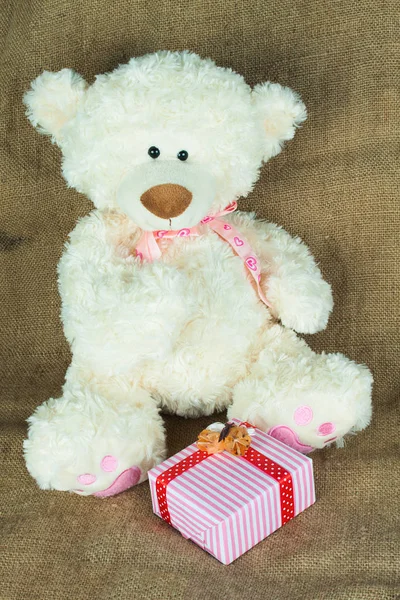 White teddy bear with gift box — Stock Photo, Image