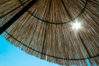 Plaj şemsiyesi. Doğa arka plan