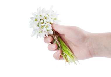 kardelen yakın çekim 