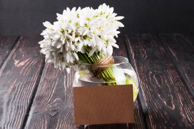 kardelen yakın çekim 