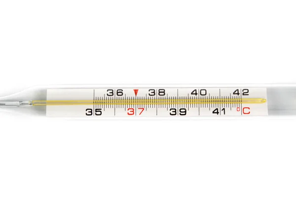 Termometr izolowany na białym tle — Zdjęcie stockowe