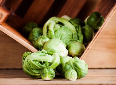 İzole taze Brüksel lahana