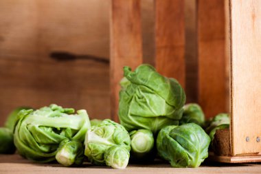 İzole taze Brüksel lahana