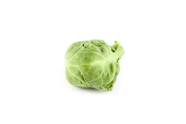 Fresh brussels cabbage isolated — Stock Photo, Image