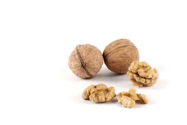 Walnut kernel geïsoleerd — Stockfoto