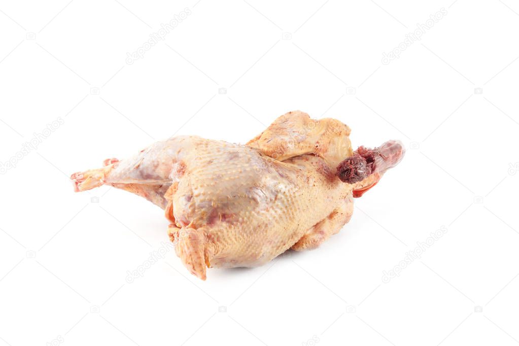 Chicken carcass isolated on white 