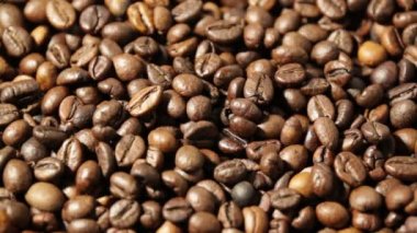 Kahve çekirdekleri döndürme plaka üzerinde