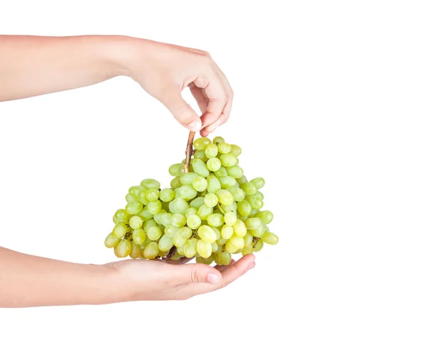 Raisins mûrs frais verts — Photo