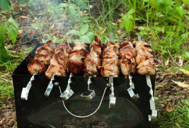 Domuz niteliğine üzerinden sıcak şiş kebap. 