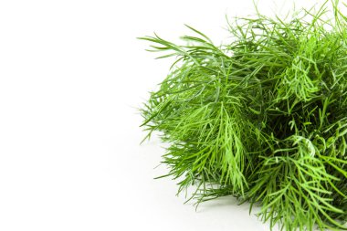 Taze yeşil dereotu.