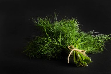 Taze yeşil dereotu.