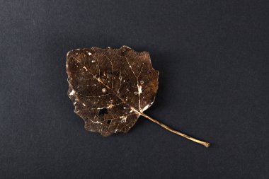 Eski kuru izole bırakır