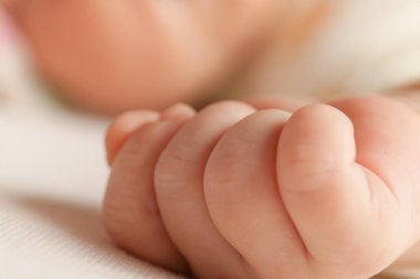 Bebek el yakın çekim