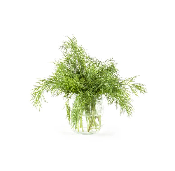 Endro verde fresco — Fotografia de Stock