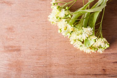 Ahşap arka plan üzerinde ıhlamur çiçeği