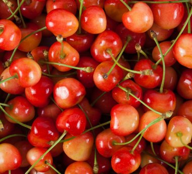Kırmızı taze Olgun Kiraz