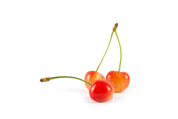 Red fresh ripe cherry — Stock Photo, Image