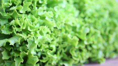 Demet taze yeşil salata iplik ile natürmort