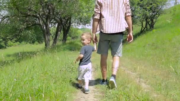 Champs de blé et papa — Video