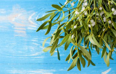 Ahşap masa üzerinde yeşil ökse otu üzerinden süpürge. 