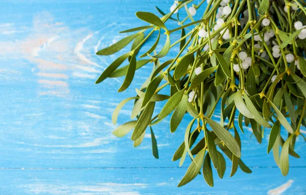 Ahşap masa üzerinde yeşil ökse otu üzerinden süpürge. 